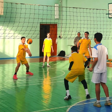 Национальная школьная лига, городской этап по волейболу