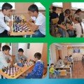  Chess zharysy