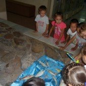 Ребята пришкольной площадки посетили городской музей