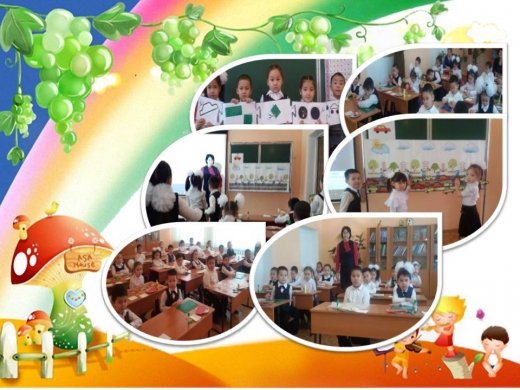 Менің машиналарым»