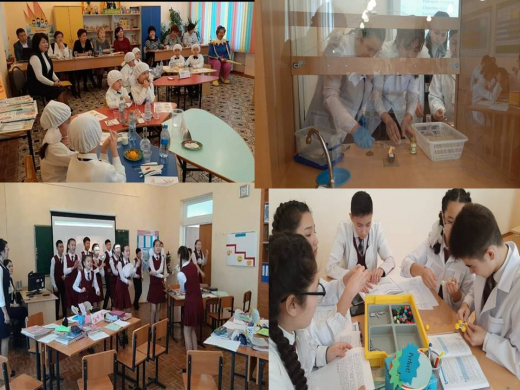 В соответствии с 1 блоком дня школы были проведены открытые уроки по теме