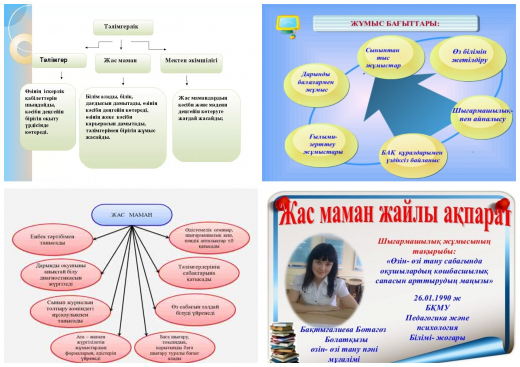 Проект жас маман в рк