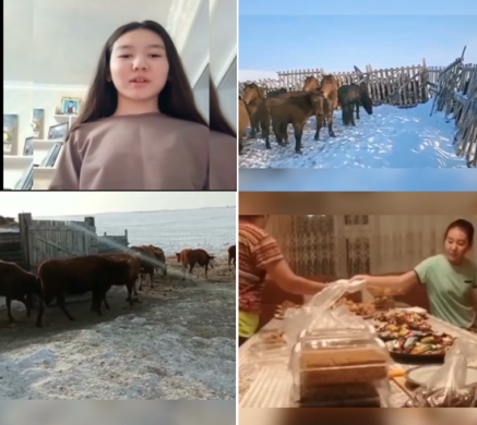 Неделя, проведенная в деревне