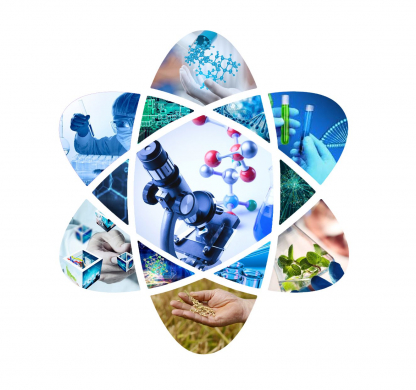 Учитель казахского языка и литературы Имангалиева Ж. М. организовала в Летней школе курс 