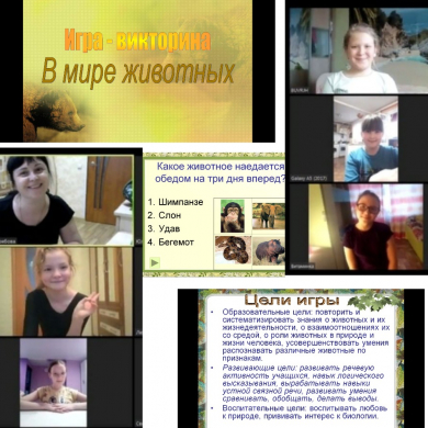 В мире животных