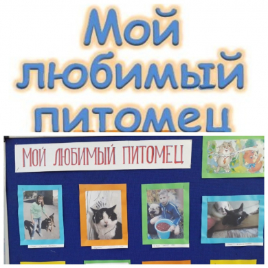 Мой любимый питомец