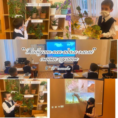 Проведен классный час на тему” Мир природы и человека