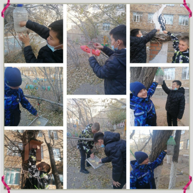 Акция «Столовая птиц»