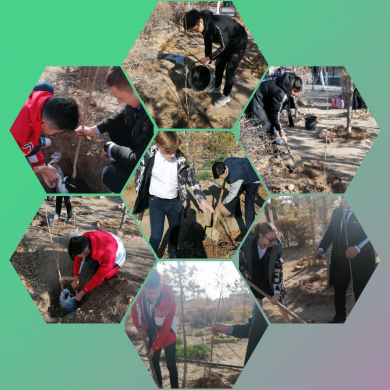 Я люблю свой город