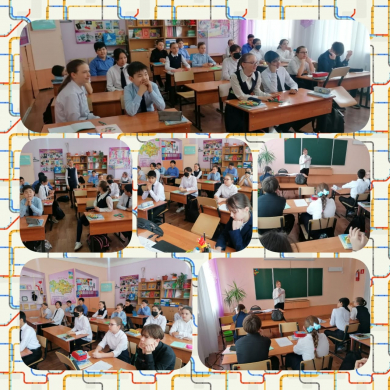 Мои экологические знания