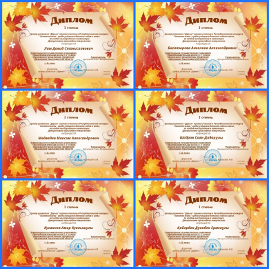 Диплом 1 степени