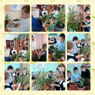 Зеленый марафон