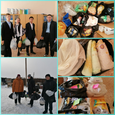 помощь приюту чип