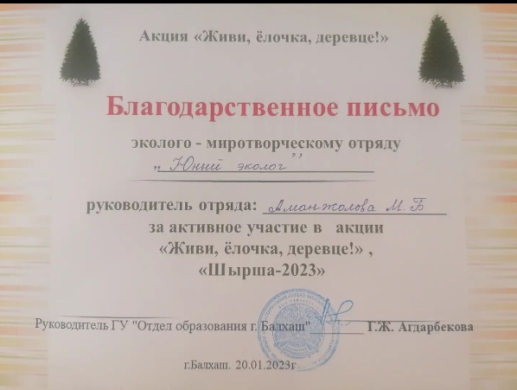 Поучаствовав в экологической акций 