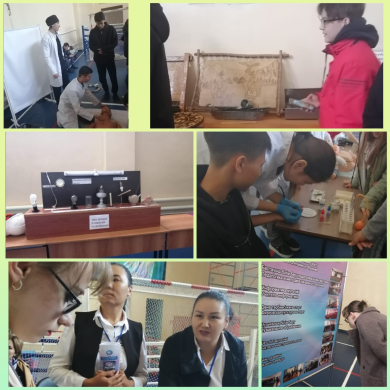 Ярмарка профессий