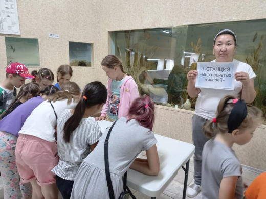 22 июня дети, отдыхающие в пришкольном лагере посетили Балхашский городской краеведческий музей, где им была предложена квест-игра 