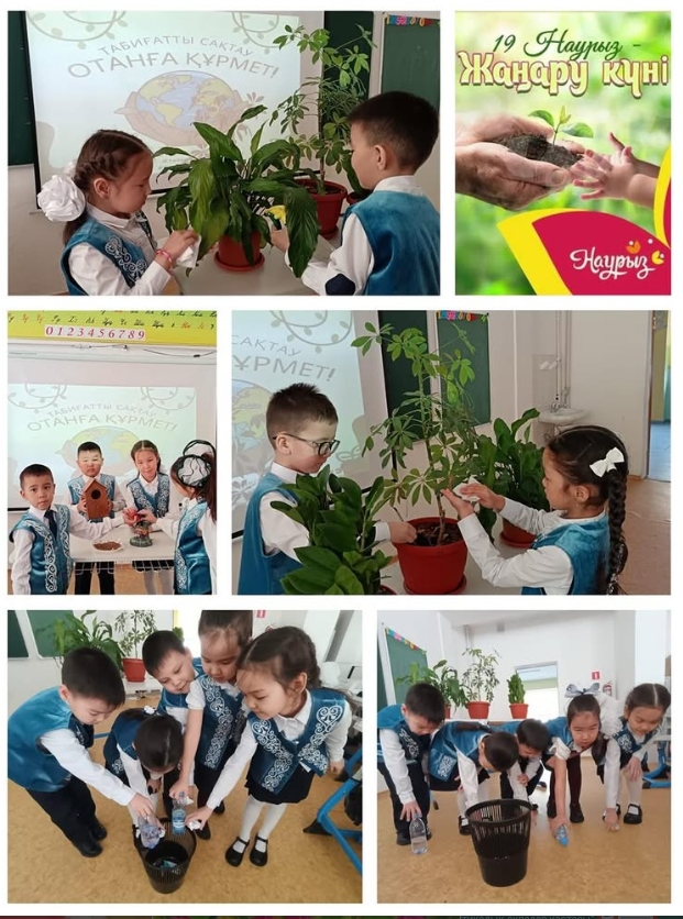 «Уход за комнатными растениями»