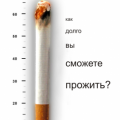 Prevention of smoking among children and adolescents. What you need to do to not smoke?