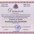 Diploma of I degree