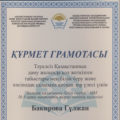  Certificate of honor
