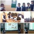 A cognitive game “50 questions about animals” took place among 4th grade students ...