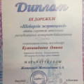 Diploma III degree