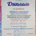 Diploma III degree