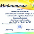Diploma 2nd place