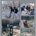 Monitoring of plantings of the training and experimental site