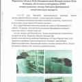 Информация баркеражной комиссии по проверке работы столовой КГУ 