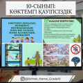 10-СЫНЫП: КӨКТЕМГІ ҚАУІПСІЗДІК ЕРЕЖЕСІ.