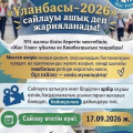 Выборы 