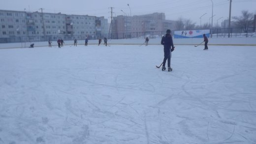 С  21января  по 30 января  прошло  турнир  города по хоккейю среди школ города .