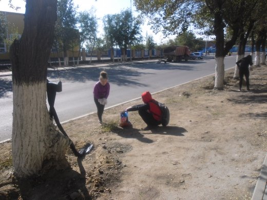 облыстық сенбілікке 