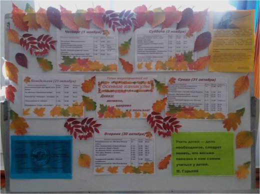 Информация о проведении каникул