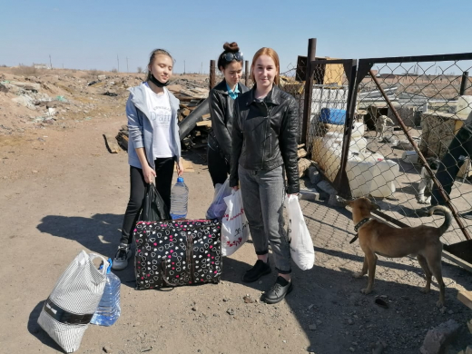 09.04.2021 г. ученики нашей школы, а именно 3 «Б», 7 «Б», 9 «Б» собрали помощь приюту ЧиП.