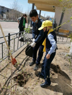 Посади дерево- сохрани планете жизнь!