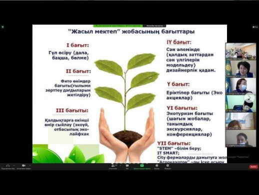 «Зеленая школа»