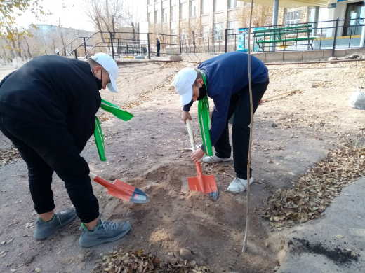 Посади дерево- подари планете жизнь!