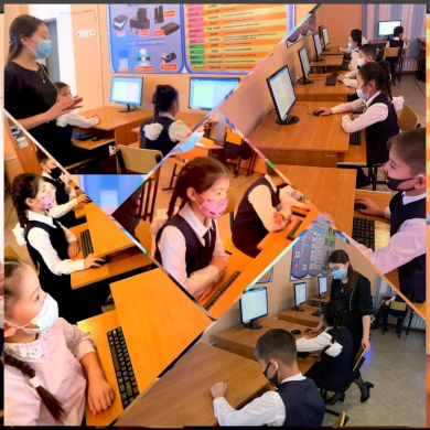 Итоги олимпиады по информатике