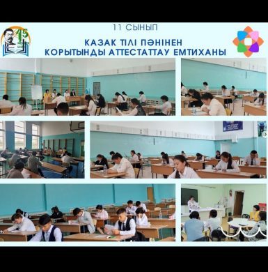 Итоговый аттестационный экзамен по казахскому языку