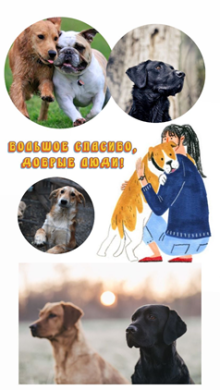 Бірнеше күн ішінде «№10 ЖББМ» КММ 1-7 сынып оқушылары жануарларға көмек көрсету бойынша акциясына қатысуды жалғастырды. 