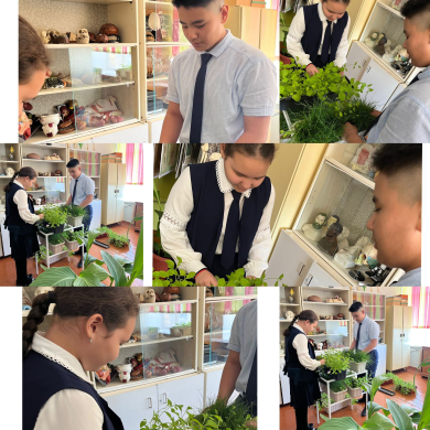 В рамках экологической недели 