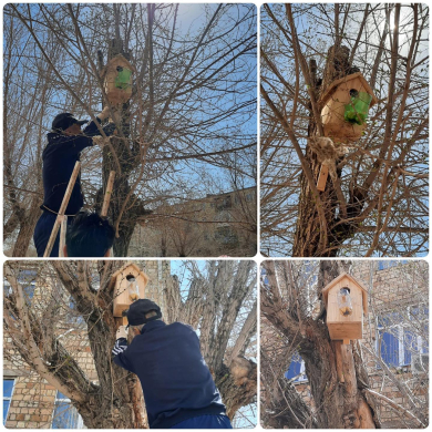Учащиеся 1-4 классов организовали классные руководители Сделай Птичье гнездо! под девизом 