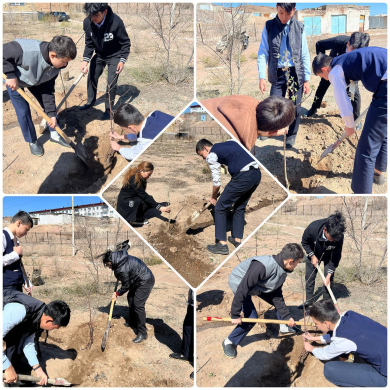 Во двор школы 