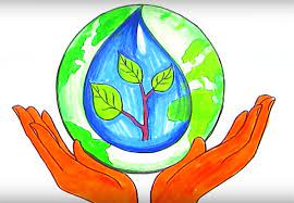 Организован и проведен челлендж 