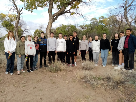 Желді шақыру