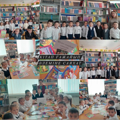 Путешествие в мир книжного чуда