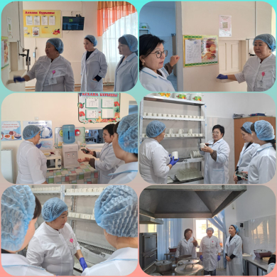 жоспарлы тексеру