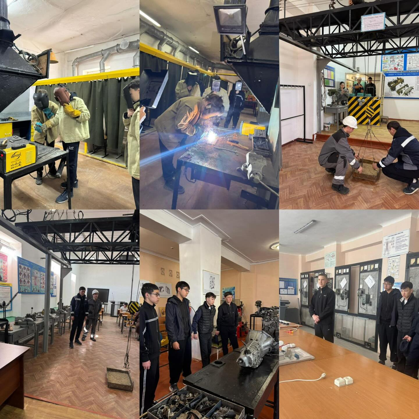 Профессиональная проба